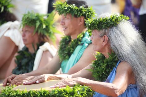 Hawaiian Indigenous