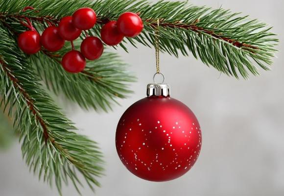 an ornament hanging from a tree